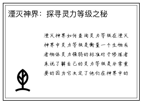湮灭神界：探寻灵力等级之秘